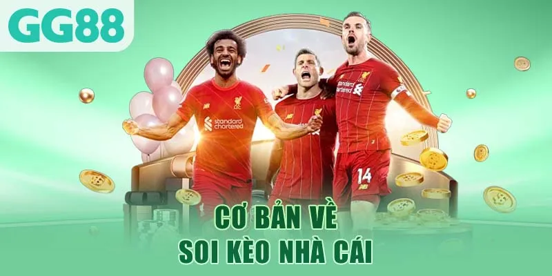 Cơ bản về soi kèo nhà cái